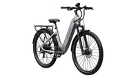 electric bike, e-bike, ebike, Tarmac, mokwheel, grey bike, authorized dealer
