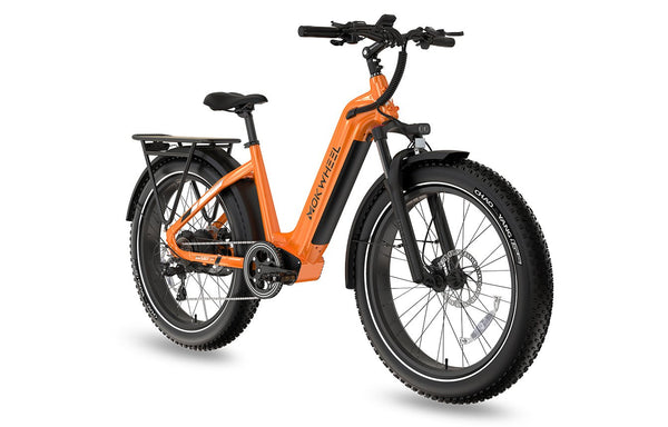 Mokwheel e bike, e-bike, pedal bike,  electric bike, bicycle, battery bike